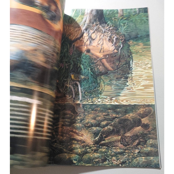 National Geographic Magazine April 2000 Great White Shark Yemen Platypus Nature - Picture 3 of 10